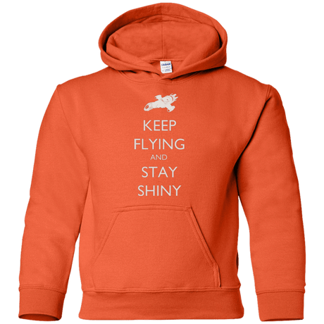 Sweatshirts Orange / YS Stay Shiny Youth Hoodie