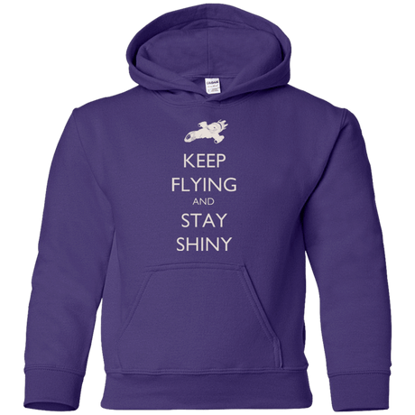 Sweatshirts Purple / YS Stay Shiny Youth Hoodie
