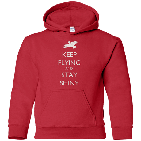 Sweatshirts Red / YS Stay Shiny Youth Hoodie
