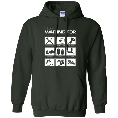 Sweatshirts Forest Green / Small Still Waiting Part 2 Pullover Hoodie
