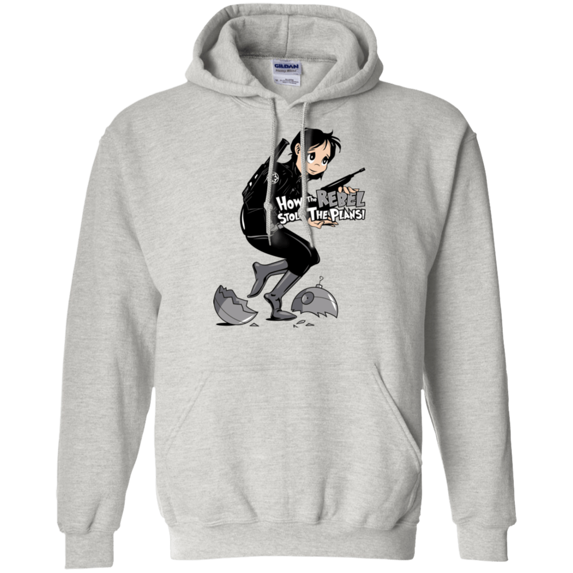 Sweatshirts Ash / Small Stolen Plans Pullover Hoodie