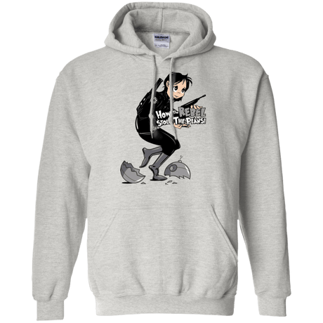 Sweatshirts Ash / Small Stolen Plans Pullover Hoodie