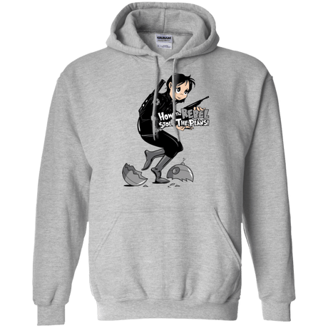 Sweatshirts Sport Grey / Small Stolen Plans Pullover Hoodie