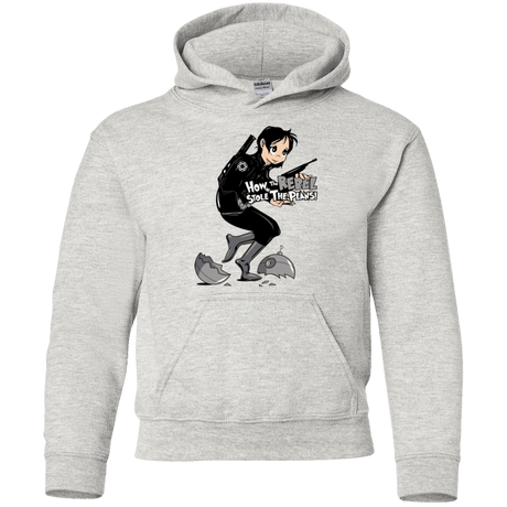 Sweatshirts Ash / YS Stolen Plans Youth Hoodie