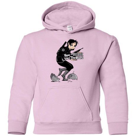 Sweatshirts Light Pink / YS Stolen Plans Youth Hoodie