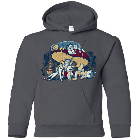 Sweatshirts Charcoal / YS STONED IN WONDERLAND Youth Hoodie