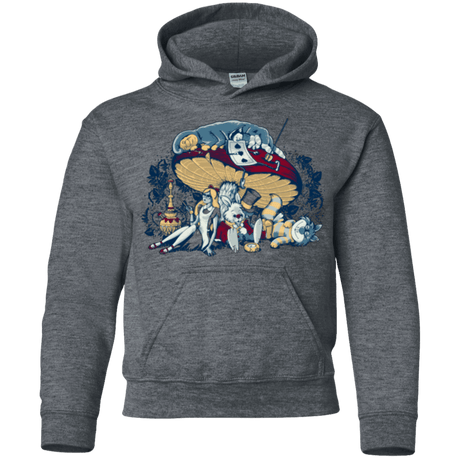 Sweatshirts Dark Heather / YS STONED IN WONDERLAND Youth Hoodie