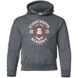 Sweatshirts Dark Heather / YS Stormtrooper Academy 15 Youth Hoodie