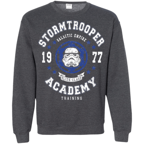Sweatshirts Dark Heather / Small Stormtrooper Academy 77 Crewneck Sweatshirt