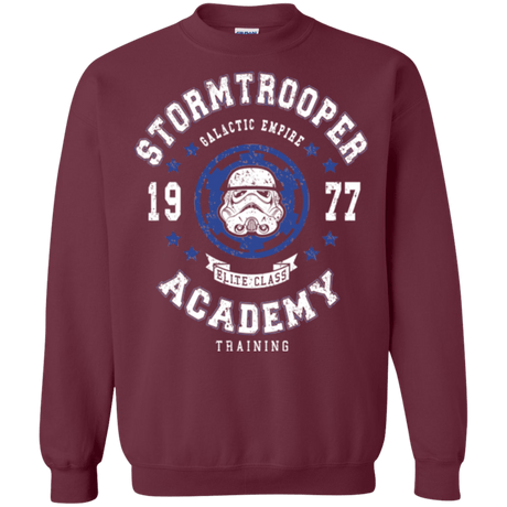 Sweatshirts Maroon / Small Stormtrooper Academy 77 Crewneck Sweatshirt