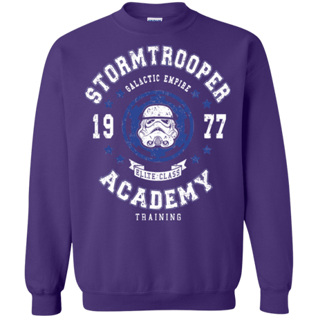 Sweatshirts Purple / Small Stormtrooper Academy 77 Crewneck Sweatshirt