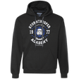 Sweatshirts Black / Small Stormtrooper Academy 77 Premium Fleece Hoodie