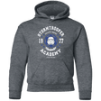 Sweatshirts Dark Heather / YS Stormtrooper Academy 77 Youth Hoodie