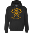 Sweatshirts Black / Small Stormwind University Premium Fleece Hoodie