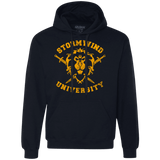 Sweatshirts Navy / Small Stormwind University Premium Fleece Hoodie