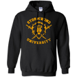 Sweatshirts Black / Small Stormwind University Pullover Hoodie