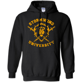 Sweatshirts Black / Small Stormwind University Pullover Hoodie