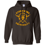 Sweatshirts Dark Chocolate / Small Stormwind University Pullover Hoodie