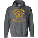 Sweatshirts Dark Heather / Small Stormwind University Pullover Hoodie