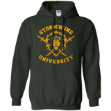 Sweatshirts Forest Green / Small Stormwind University Pullover Hoodie