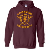 Sweatshirts Maroon / Small Stormwind University Pullover Hoodie