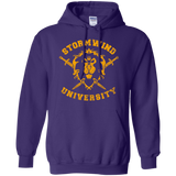 Sweatshirts Purple / Small Stormwind University Pullover Hoodie