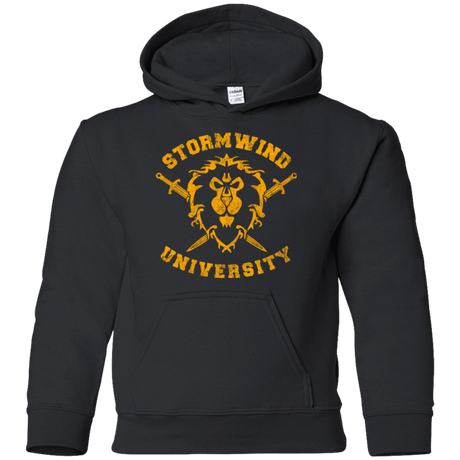 Sweatshirts Black / YS Stormwind University Youth Hoodie