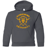 Sweatshirts Charcoal / YS Stormwind University Youth Hoodie