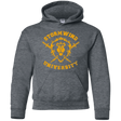 Sweatshirts Dark Heather / YS Stormwind University Youth Hoodie