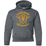 Sweatshirts Dark Heather / YS Stormwind University Youth Hoodie