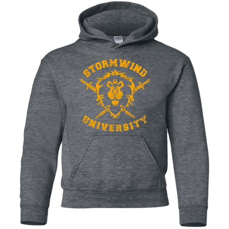 Sweatshirts Dark Heather / YS Stormwind University Youth Hoodie