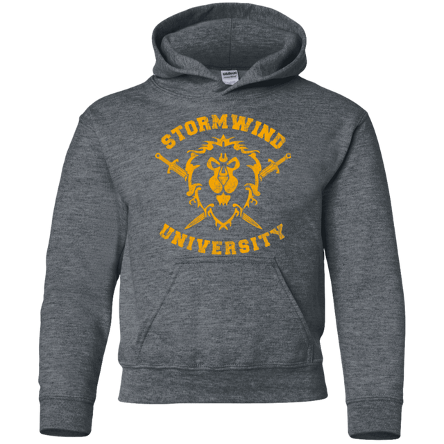 Sweatshirts Dark Heather / YS Stormwind University Youth Hoodie