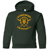 Sweatshirts Forest Green / YS Stormwind University Youth Hoodie