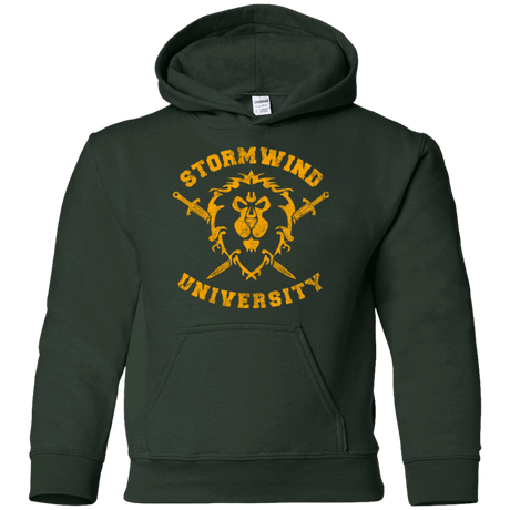 Sweatshirts Forest Green / YS Stormwind University Youth Hoodie