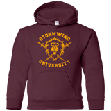 Sweatshirts Maroon / YS Stormwind University Youth Hoodie