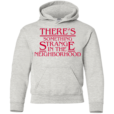 Sweatshirts Ash / YS Strange Hawkins Youth Hoodie