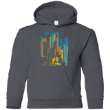 Sweatshirts Charcoal / YS Stripey City Youth Hoodie