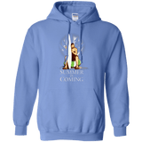 Sweatshirts Carolina Blue / Small Summer is Coming Pullover Hoodie