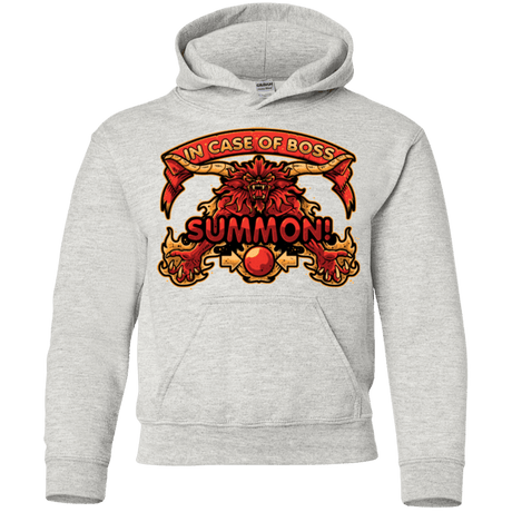 Sweatshirts Ash / YS SUMMON Youth Hoodie