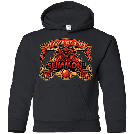 Sweatshirts Black / YS SUMMON Youth Hoodie