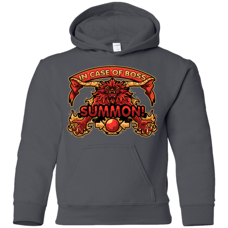 Sweatshirts Charcoal / YS SUMMON Youth Hoodie