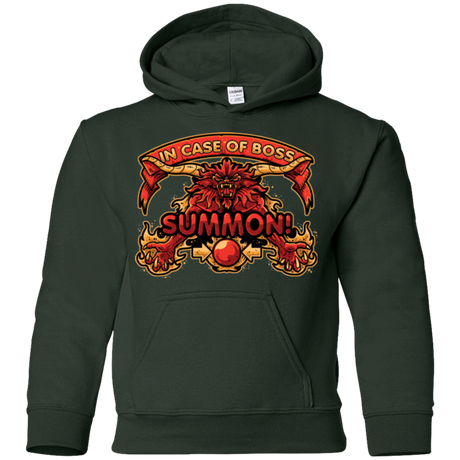 Sweatshirts Forest Green / YS SUMMON Youth Hoodie