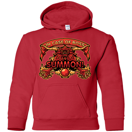 Sweatshirts Red / YS SUMMON Youth Hoodie