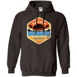 Sweatshirts Dark Chocolate / Small Sun Sea & Space Stations Pullover Hoodie