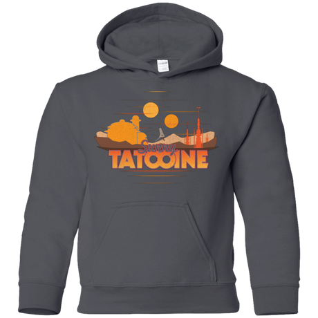 Sweatshirts Charcoal / YS Sunny Tatooine Youth Hoodie