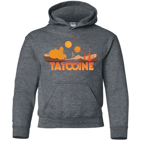 Sweatshirts Dark Heather / YS Sunny Tatooine Youth Hoodie