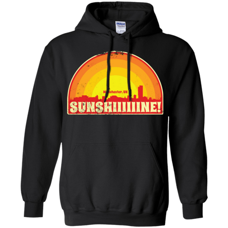 Sweatshirts Black / Small Sunshine Pullover Hoodie