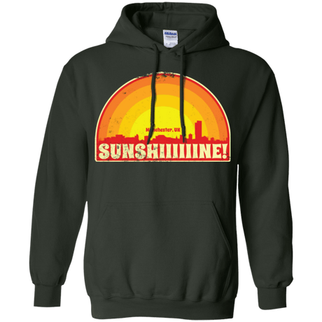 Sweatshirts Forest Green / Small Sunshine Pullover Hoodie