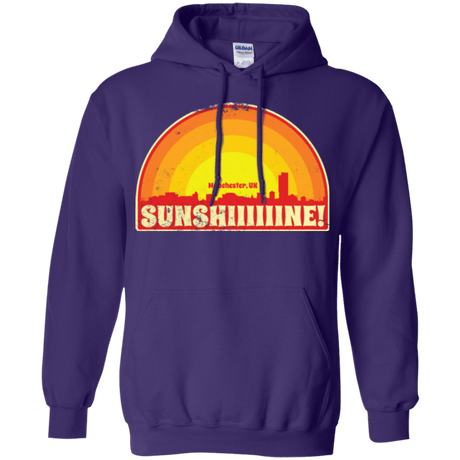 Sweatshirts Purple / Small Sunshine Pullover Hoodie