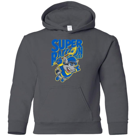 Sweatshirts Charcoal / YS Super Racoon Thief Youth Hoodie